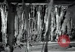 Immagine di Fabbrica di lana Mazamet Francia, 1950, secondo 13 filmato di repertorio 65675027108