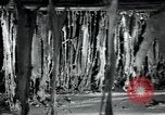 Immagine di Fabbrica di lana Mazamet Francia, 1950, secondo 14 filmato di repertorio 65675027108