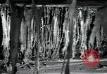 Immagine di Fabbrica di lana Mazamet Francia, 1950, secondo 15 filmato di repertorio 65675027108