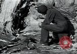 Immagine di Fabbrica di lana Mazamet Francia, 1950, secondo 20 filmato di repertorio 65675027108