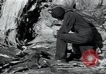 Immagine di Fabbrica di lana Mazamet Francia, 1950, secondo 21 filmato di repertorio 65675027108