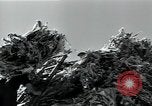 Immagine di Fabbrica di lana Mazamet Francia, 1950, secondo 27 filmato di repertorio 65675027108