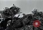 Immagine di Fabbrica di lana Mazamet Francia, 1950, secondo 28 filmato di repertorio 65675027108