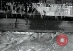 Immagine di Fabbrica di lana Mazamet Francia, 1950, secondo 39 filmato di repertorio 65675027108