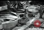 Image usine de laine Mazamet France, 1950, de la seconde 13 séquences d'archives historiques vidéo 65675027109