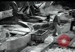 Image usine de laine Mazamet France, 1950, de la seconde 14 séquences d'archives historiques vidéo 65675027109