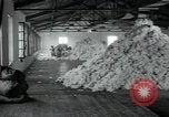 Immagine di Fabbrica di lana Mazamet Francia, 1950, secondo 1 filmato di repertorio 65675027110
