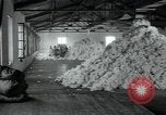 Immagine di Fabbrica di lana Mazamet Francia, 1950, secondo 3 filmato di repertorio 65675027110