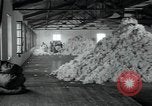 Immagine di Fabbrica di lana Mazamet Francia, 1950, secondo 4 filmato di repertorio 65675027110