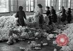 Immagine di Fabbrica di lana Mazamet Francia, 1950, secondo 9 filmato di repertorio 65675027110