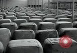 Immagine di Fabbrica di lana Mazamet Francia, 1950, secondo 56 filmato di repertorio 65675027110