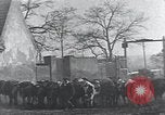 Image of American Friends Service Committee providing milk to children Europe, 1923, second 17 stock footage video 65675027113