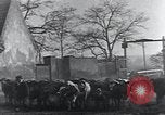 Image of American Friends Service Committee providing milk to children Europe, 1923, second 18 stock footage video 65675027113