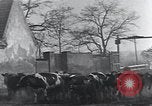 Image of American Friends Service Committee providing milk to children Europe, 1923, second 19 stock footage video 65675027113