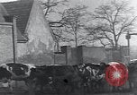 Image of American Friends Service Committee providing milk to children Europe, 1923, second 20 stock footage video 65675027113