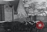 Image of American Friends Service Committee providing milk to children Europe, 1923, second 21 stock footage video 65675027113