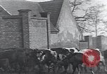 Image of American Friends Service Committee providing milk to children Europe, 1923, second 22 stock footage video 65675027113