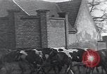 Image of American Friends Service Committee providing milk to children Europe, 1923, second 23 stock footage video 65675027113