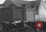 Image of American Friends Service Committee providing milk to children Europe, 1923, second 24 stock footage video 65675027113