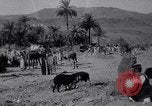 Immagine di Arabian soldati Arabia, 1916, secondo 29 filmato di repertorio 65675027156