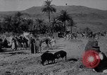 Immagine di Arabian soldati Arabia, 1916, secondo 30 filmato di repertorio 65675027156