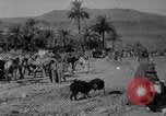 Immagine di Arabian soldati Arabia, 1916, secondo 31 filmato di repertorio 65675027156