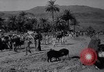 Immagine di Arabian soldati Arabia, 1916, secondo 33 filmato di repertorio 65675027156
