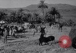 Immagine di Arabian soldati Arabia, 1916, secondo 36 filmato di repertorio 65675027156