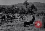 Immagine di Arabian soldati Arabia, 1916, secondo 37 filmato di repertorio 65675027156