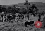 Immagine di Arabian soldati Arabia, 1916, secondo 38 filmato di repertorio 65675027156
