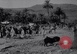 Immagine di Arabian soldati Arabia, 1916, secondo 39 filmato di repertorio 65675027156
