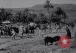 Immagine di Arabian soldati Arabia, 1916, secondo 40 filmato di repertorio 65675027156