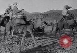 Immagine di Arabian soldati Arabia, 1916, secondo 47 filmato di repertorio 65675027156