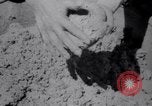 Image of Battle for Anatolia Turkey, 1921, second 13 stock footage video 65675027163