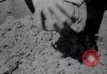 Image of Battle for Anatolia Turkey, 1921, second 14 stock footage video 65675027163