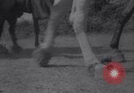 Image of Battle for Anatolia Turkey, 1921, second 41 stock footage video 65675027163
