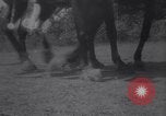 Image of Battle for Anatolia Turkey, 1921, second 42 stock footage video 65675027163