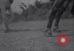 Image of Battle for Anatolia Turkey, 1921, second 43 stock footage video 65675027163