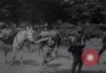 Image of Battle for Anatolia Turkey, 1921, second 45 stock footage video 65675027163