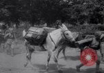 Image of Battle for Anatolia Turkey, 1921, second 46 stock footage video 65675027163