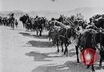 Immagine di Inglesi e le forze indiane in Palestina Palestina, 1918, secondo 46 filmato di repertorio 65675027168