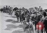 Immagine di Inglesi e le forze indiane in Palestina Palestina, 1918, secondo 61 filmato di repertorio 65675027168