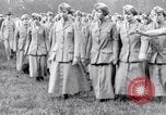 Immagine di Yeomen femmina del Navy US Washington DC USA, 1920, secondo 33 filmato di repertorio 65675027182