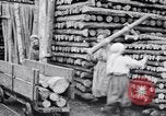 Image of British women employed in a factory United Kingdom, 1915, second 25 stock footage video 65675027184