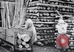 Image of British women employed in a factory United Kingdom, 1915, second 26 stock footage video 65675027184