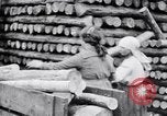Image of British women employed in a factory United Kingdom, 1915, second 34 stock footage video 65675027184