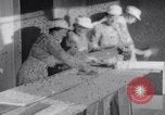 Image of World War I British Women war time jobs United Kingdom, 1915, second 3 stock footage video 65675027185