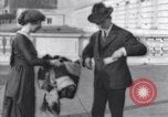 Image of US 65th Congress opens Washington DC USA, 1917, second 13 stock footage video 65675027188