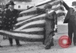 Image of US 65th Congress opens Washington DC USA, 1917, second 30 stock footage video 65675027188