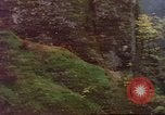 Immagine di Cascata visto dal treno Amtrak United States USA, 1985, secondo 4 filmato di repertorio 65675027197